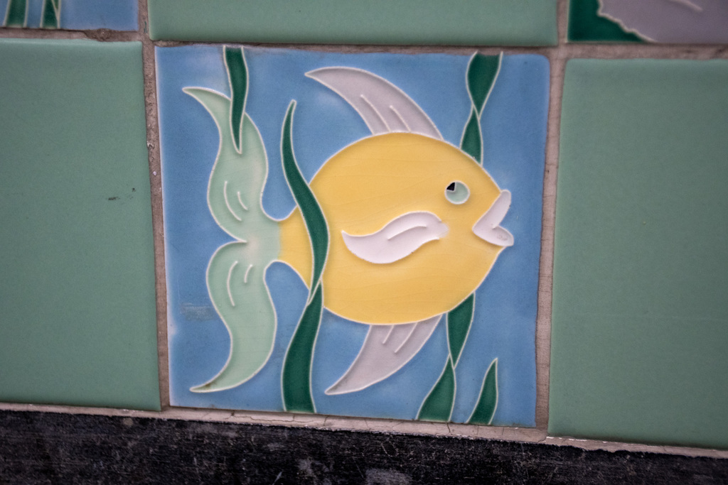 decorative tile depicting a fish