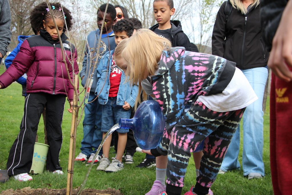 Arbor Day Roosevelt
