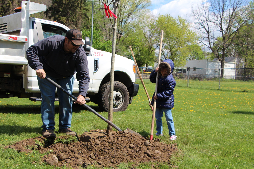 Arbor Day Wilson