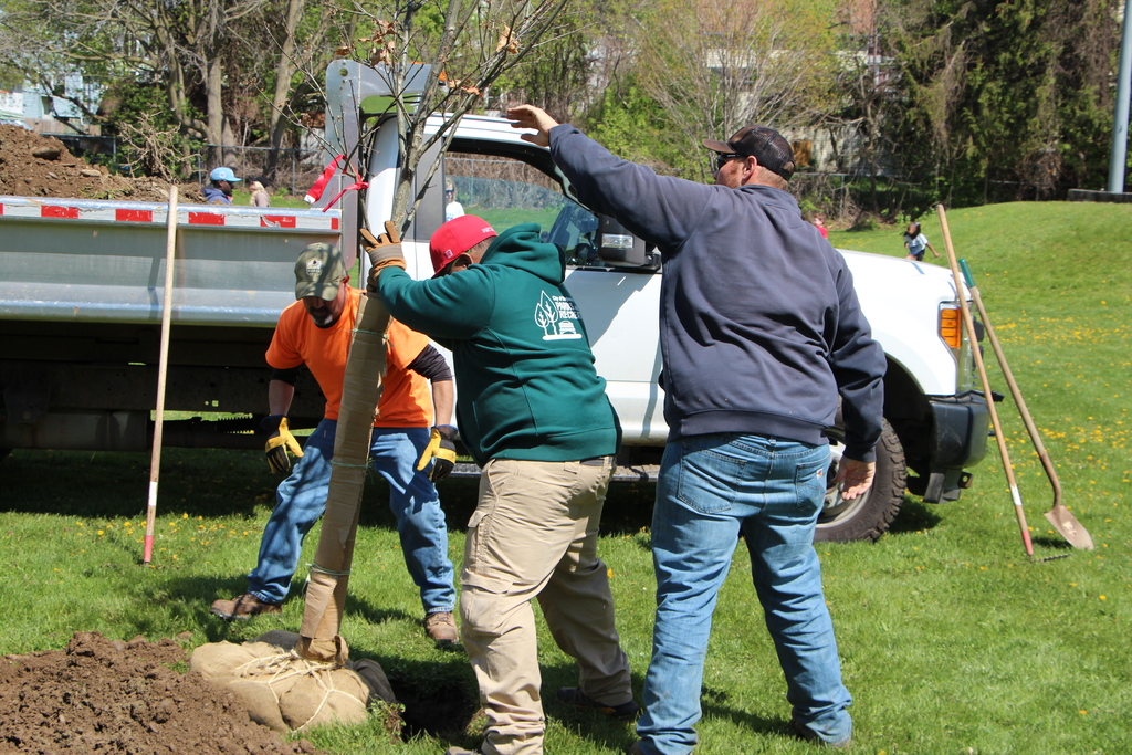 Arbor Day Wilson