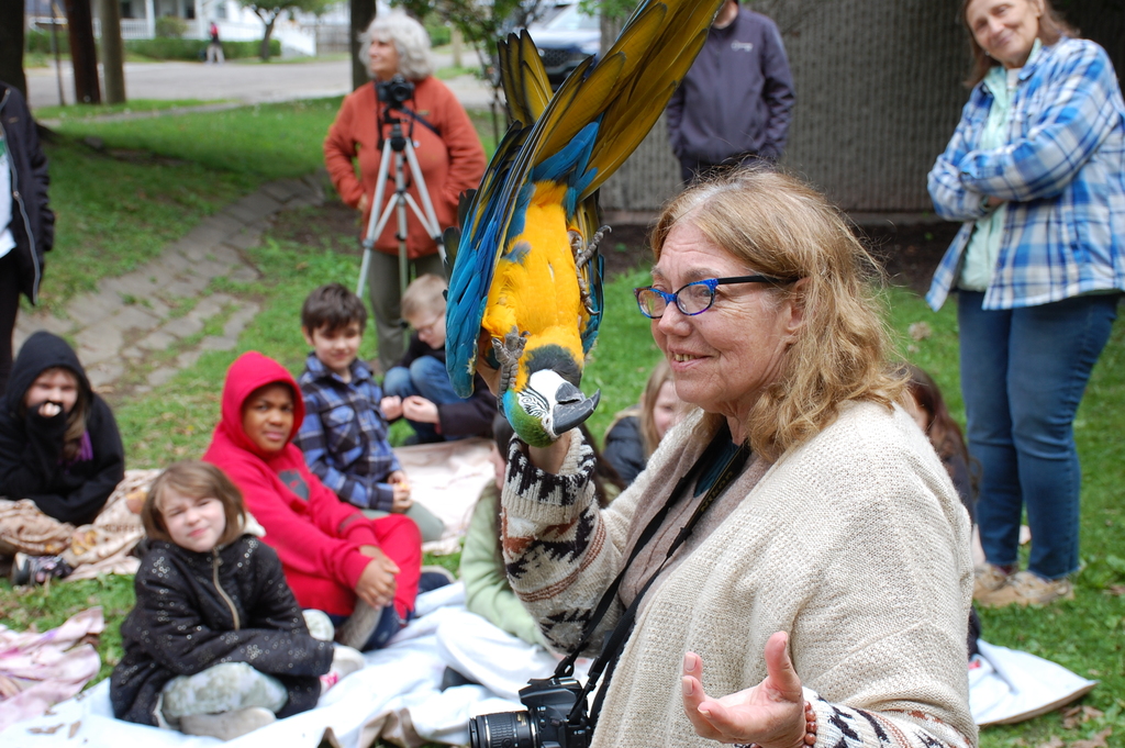 Peace Fair Horace Mann