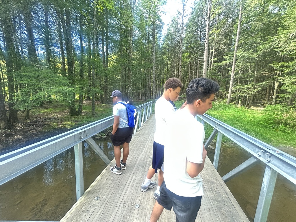 students standing on bridge overlooking creek at cole park