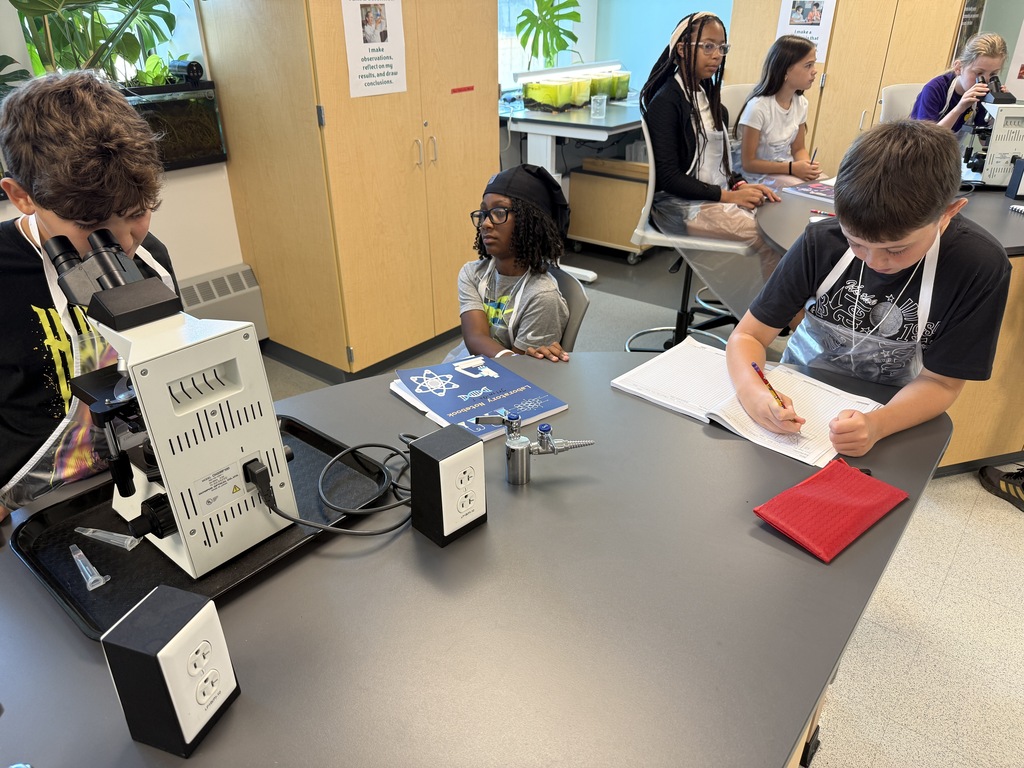 students work on science experiment