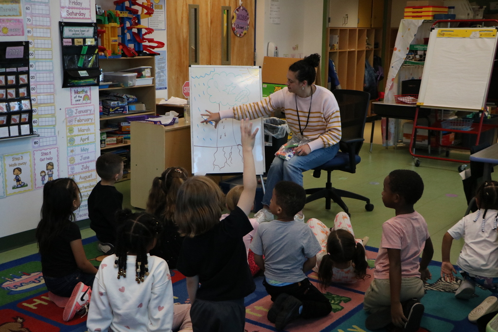 CCE Tree Visit