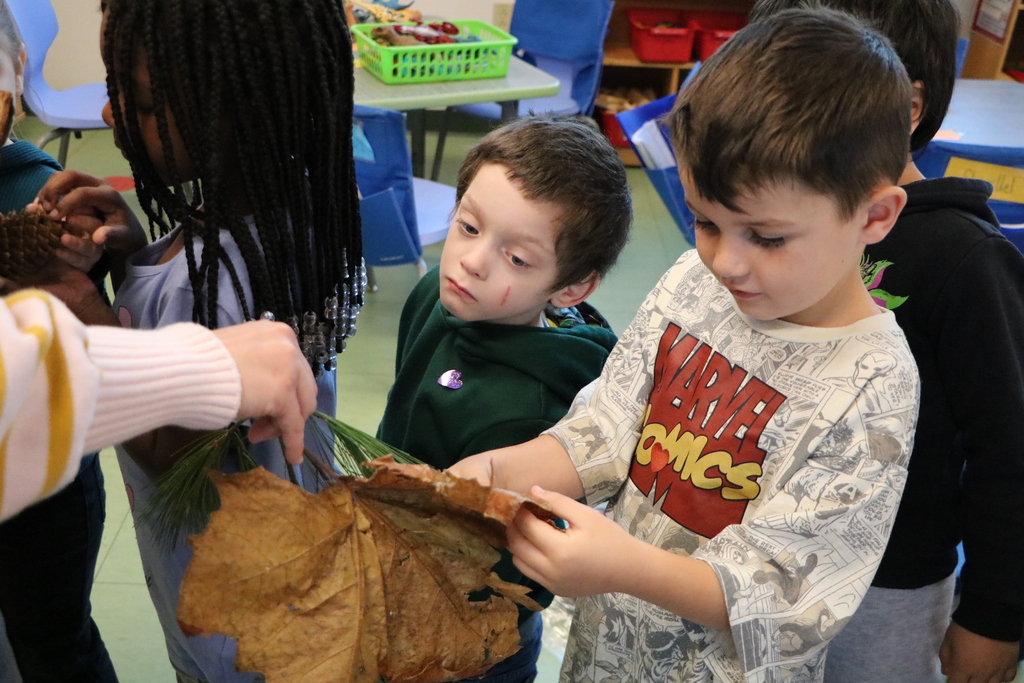 CCE Tree Visit