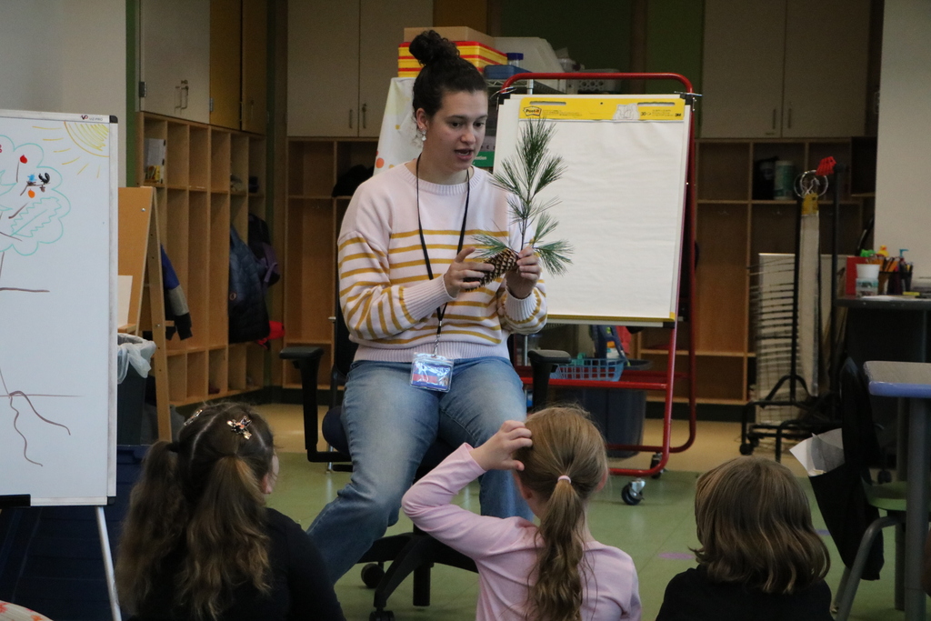CCE Tree Visit
