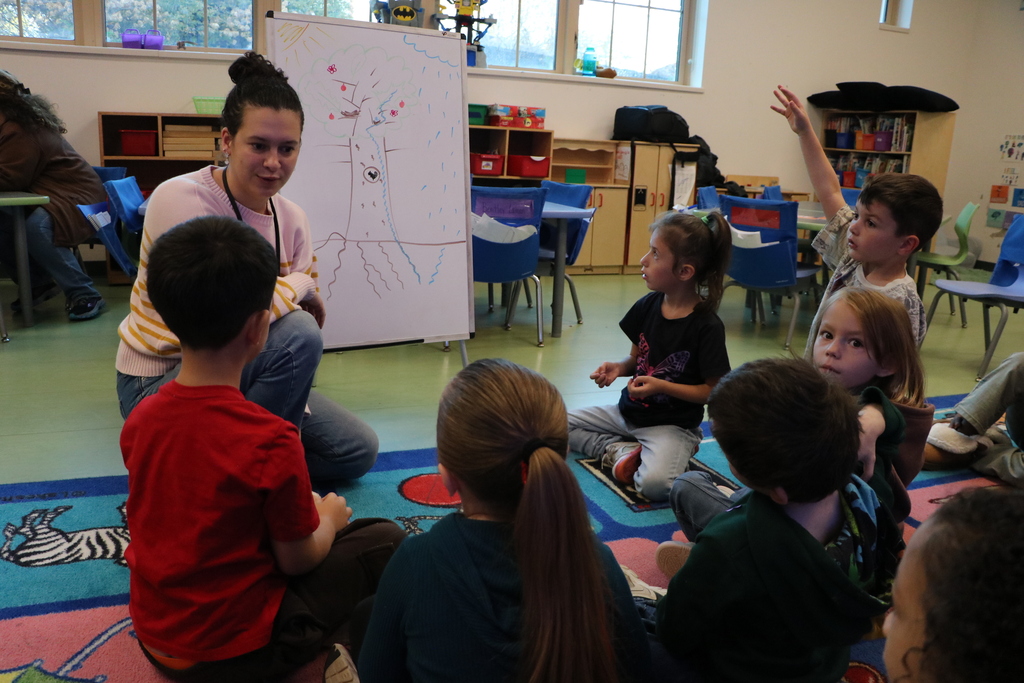 CCE Tree Visit