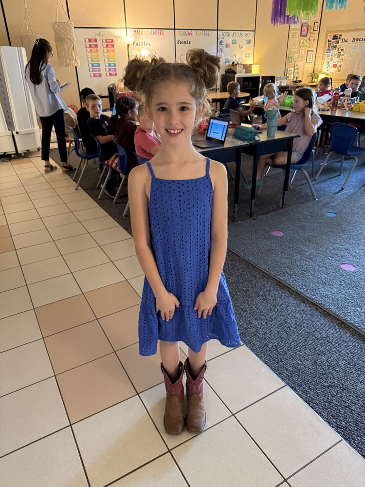 USA DRESS UP DAY 