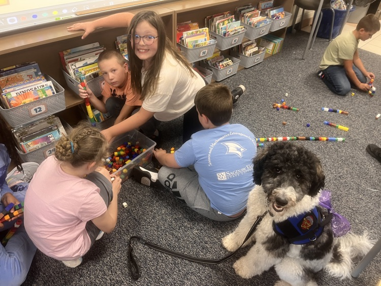 Kids with the therapy dog. 