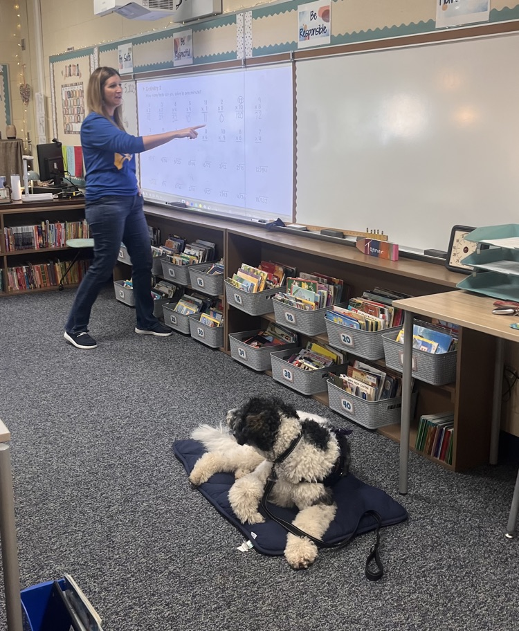 Mrs. Tanner with the therapy dog. 