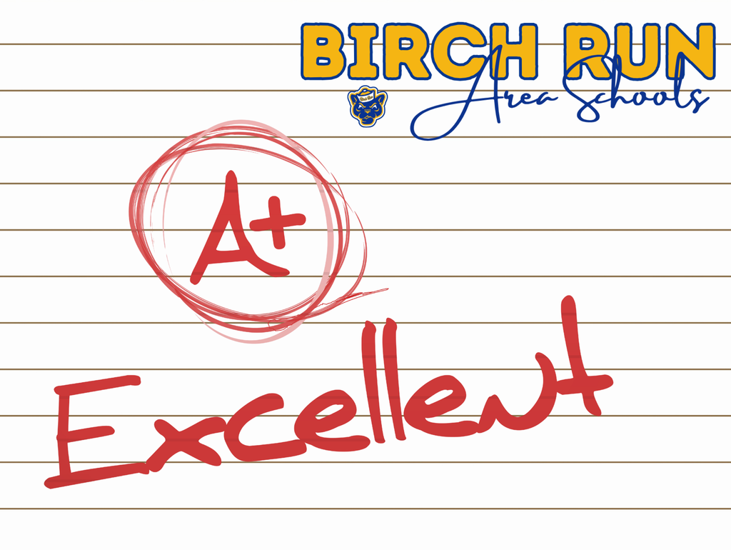 Birch Run Area Schools earned an A+ credit rating ahead of the bond sale.