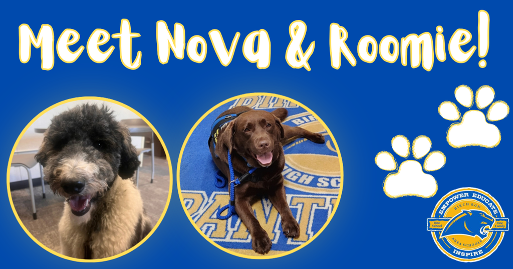 Meet nova & roomie!