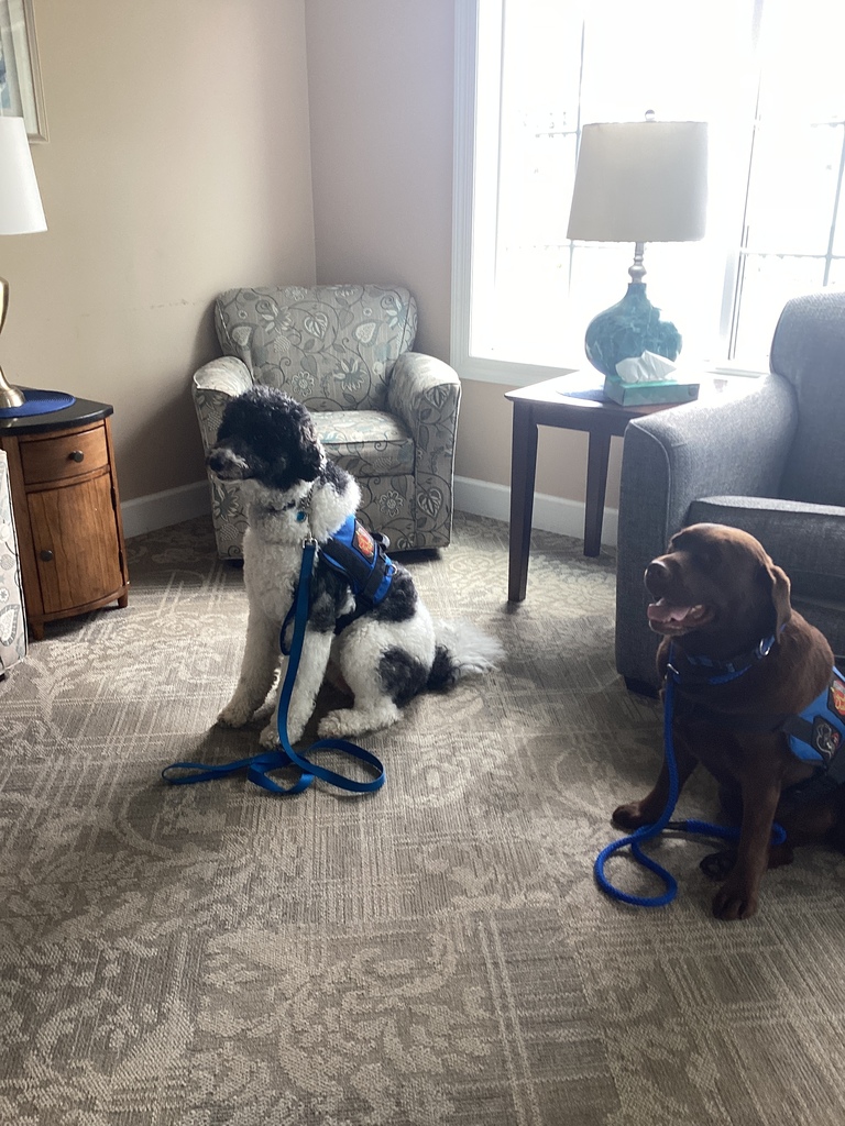 Good doggies!