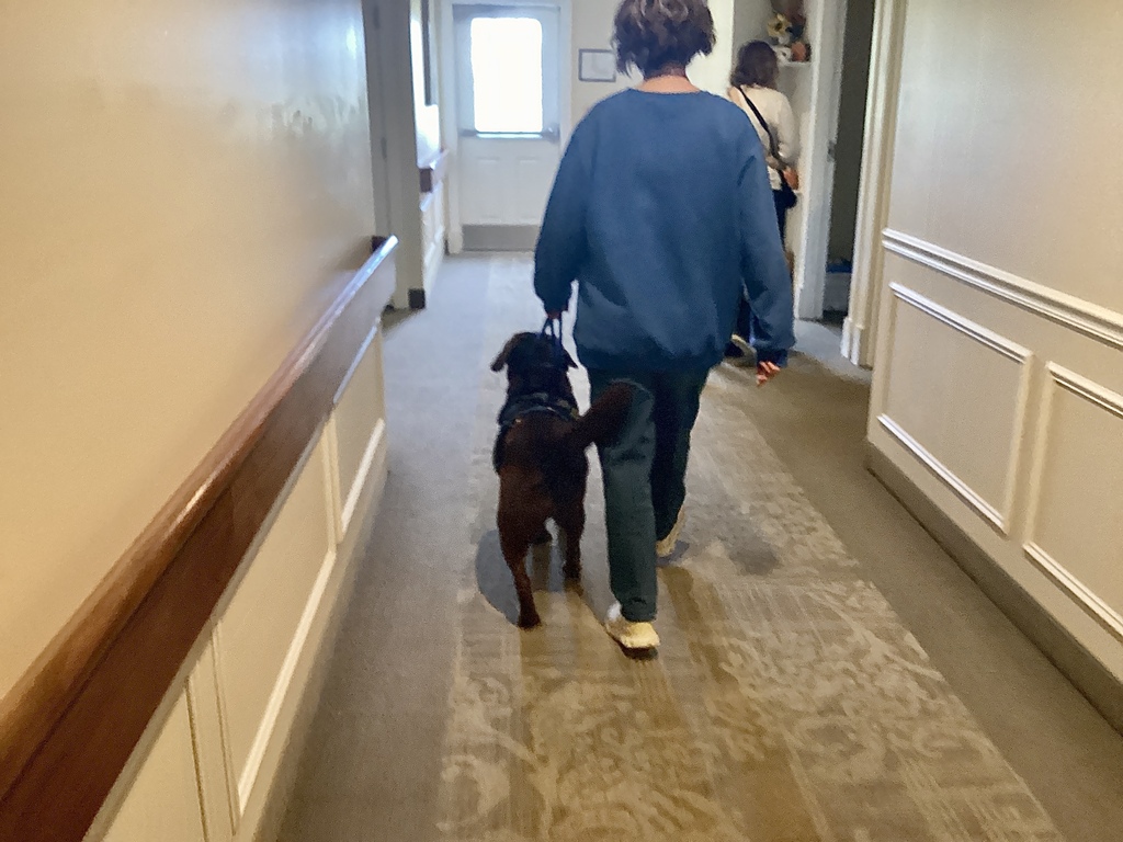 Mrs. Rogers & Roomie going to work!