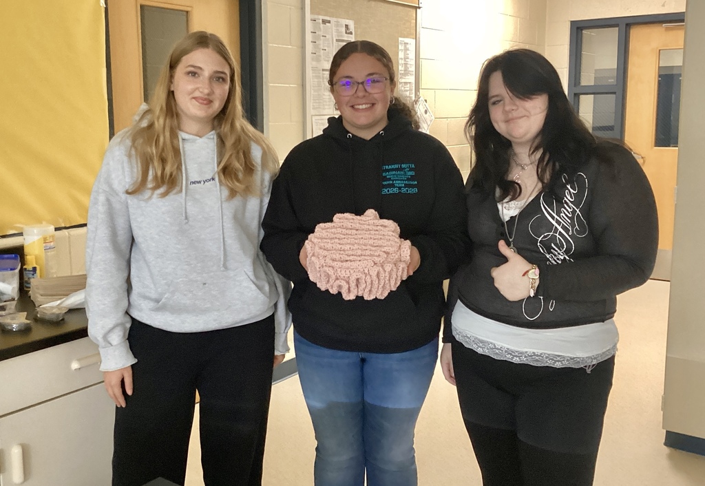 crochet brain model