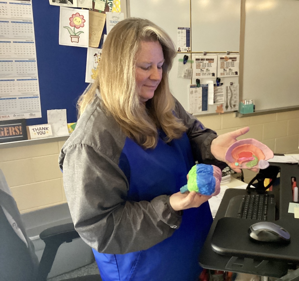 clay brain model