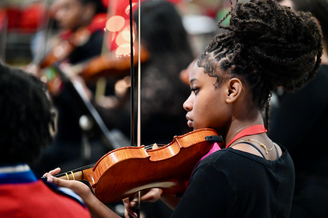 BCS violinist
