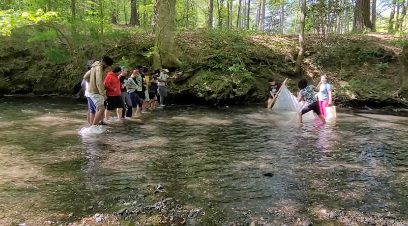 Jackson-Olin scholars are working to restore Village Creek.