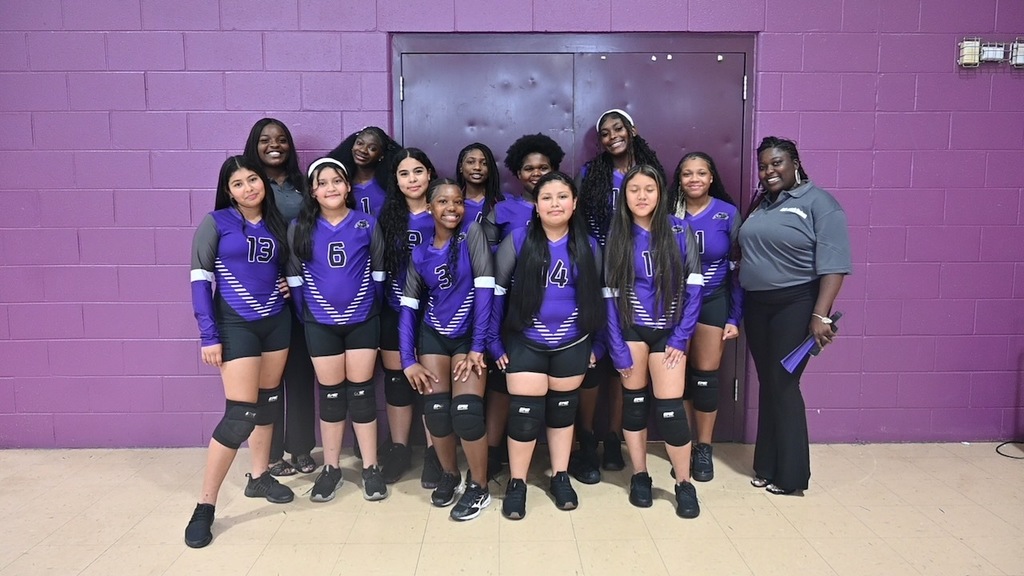 the volleyball team