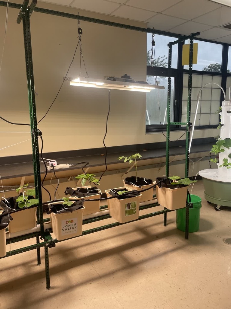 Lab