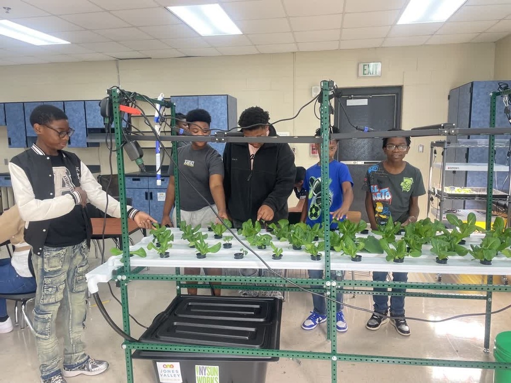 Lab day
