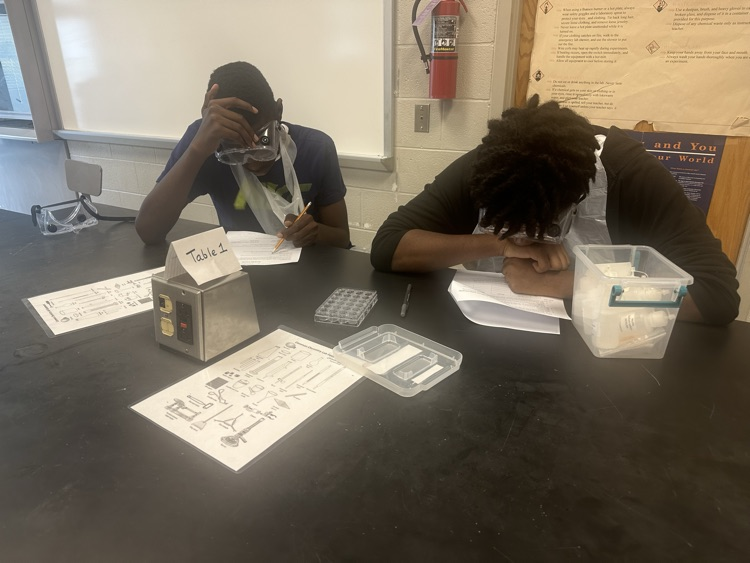 lab 7