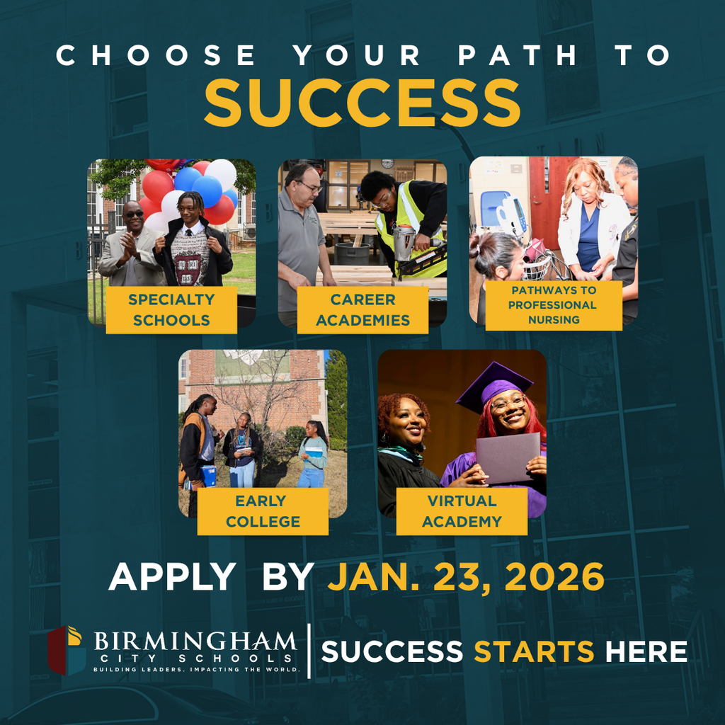 choose your path to success