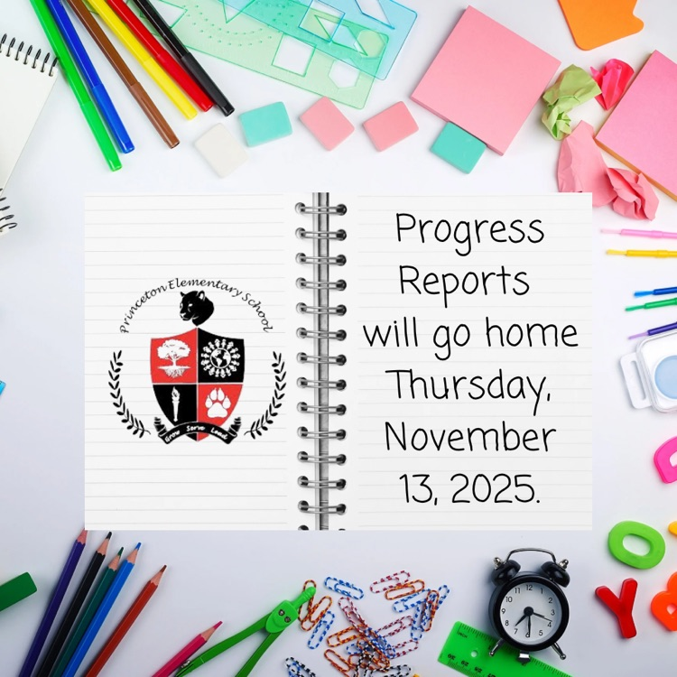 2nd Weeks Progress Report 