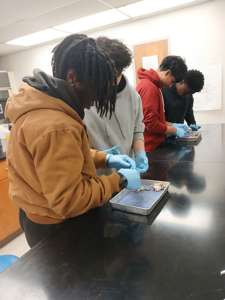 3376D898-74C7-4E27-BF4F-407E4FE3E145