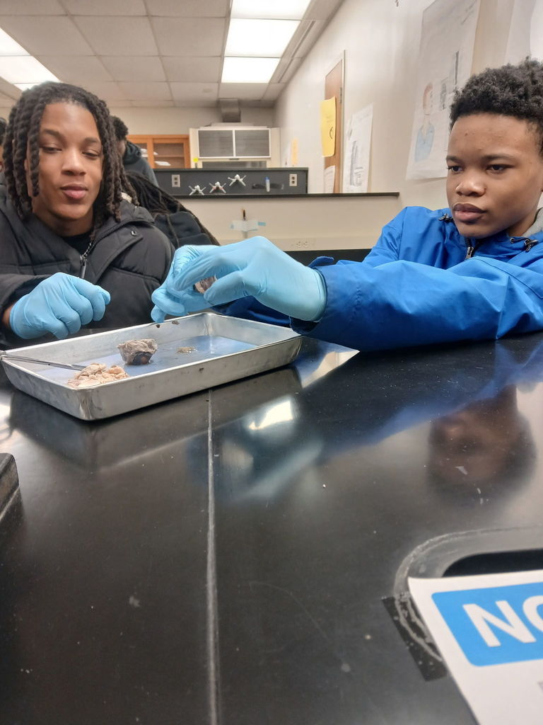 20956DEB-F43F-4E69-8823-01B1EECB4DF7