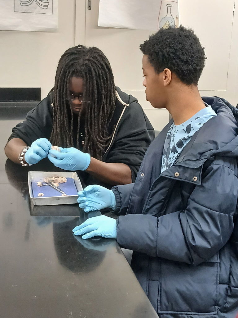 F8DAB366-E0A3-4E1C-8887-2205A8FC8CB4