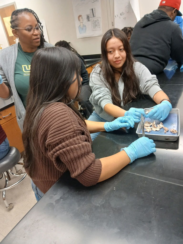 AAE40D52-3AD0-4065-BFB4-646B7F305586