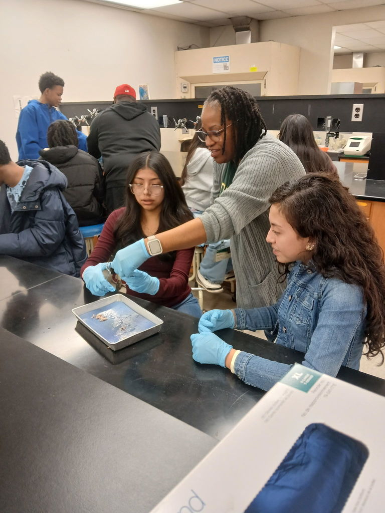 946CE3B1-300C-46DB-A2BB-D22BAA7AA496