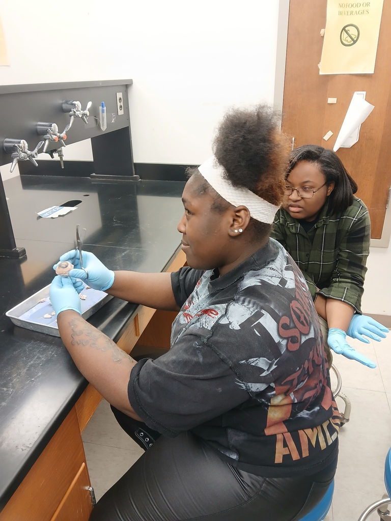 CB5ACECD-E6EA-4082-A955-B54EA73E5D34