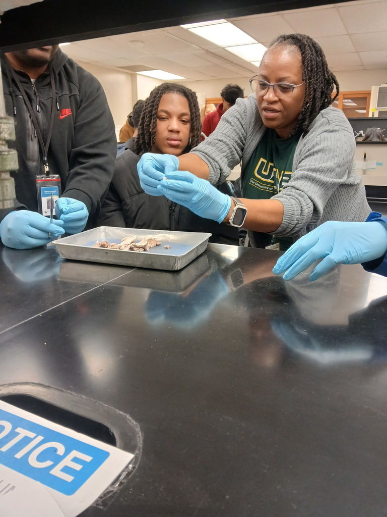 5AA737DF-D693-43A6-923E-B63B4CC8AFC3