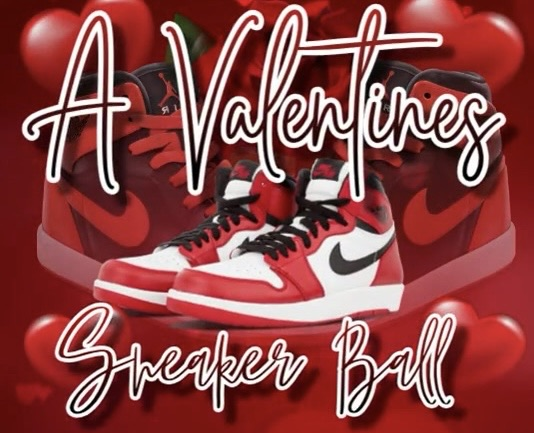 Wildcats Sneaker Ball