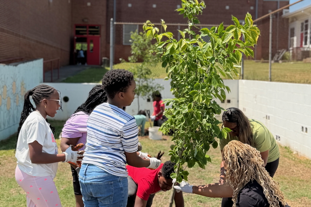 Scholars at Princeton Alternative Elementary School planted three trees for Earth Day!