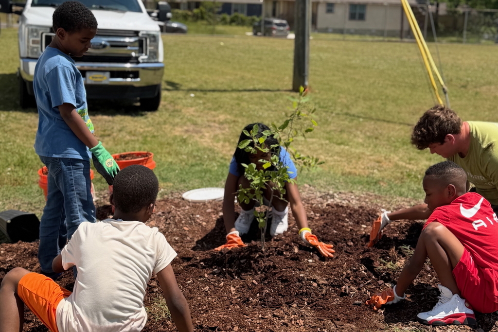 Scholars at Princeton Alternative Elementary School planted three trees for Earth Day!