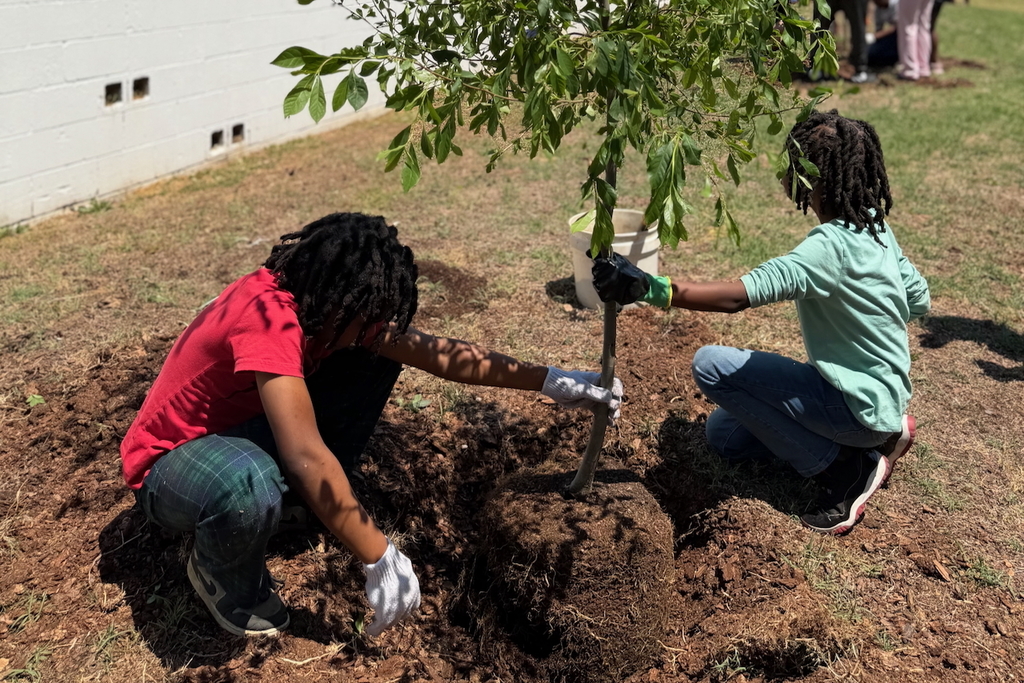Scholars at Princeton Alternative Elementary School planted three trees for Earth Day!