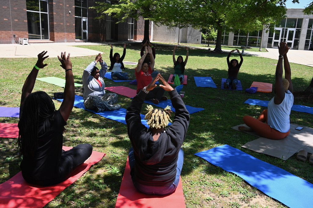 Mental Wellness Fair
