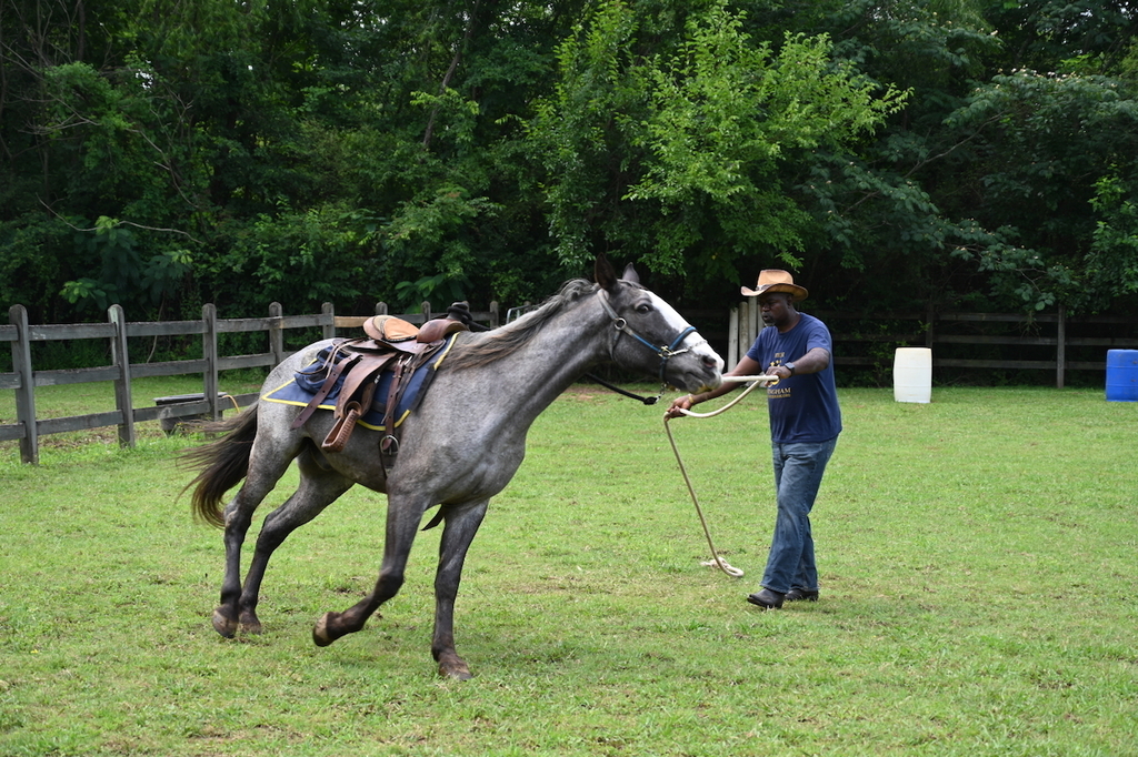 Camp Wellness Field Trip to High 5 Birmingham Horse Farm