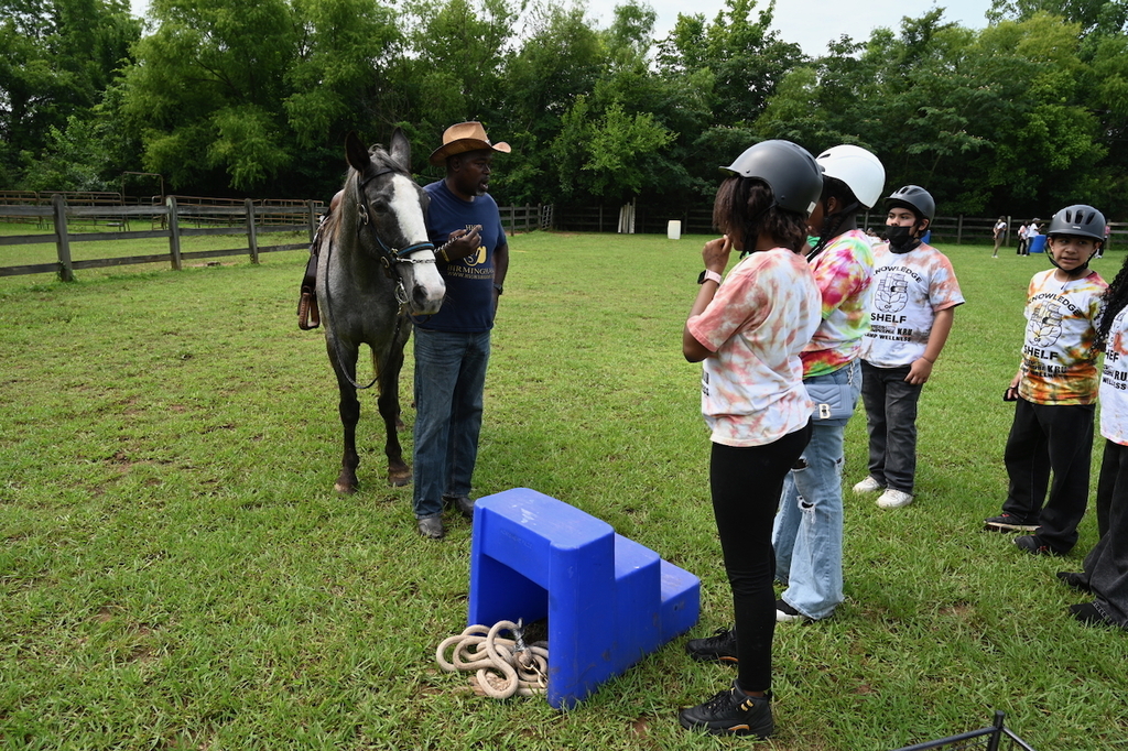 Camp Wellness Field Trip to High 5 Birmingham Horse Farm
