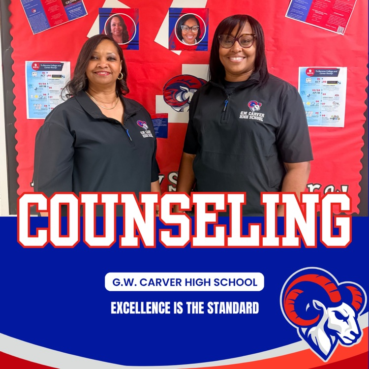 counseling 