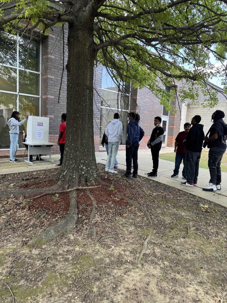 voting 2