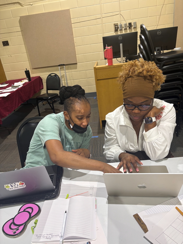 Mentor-Mentee Professional Development