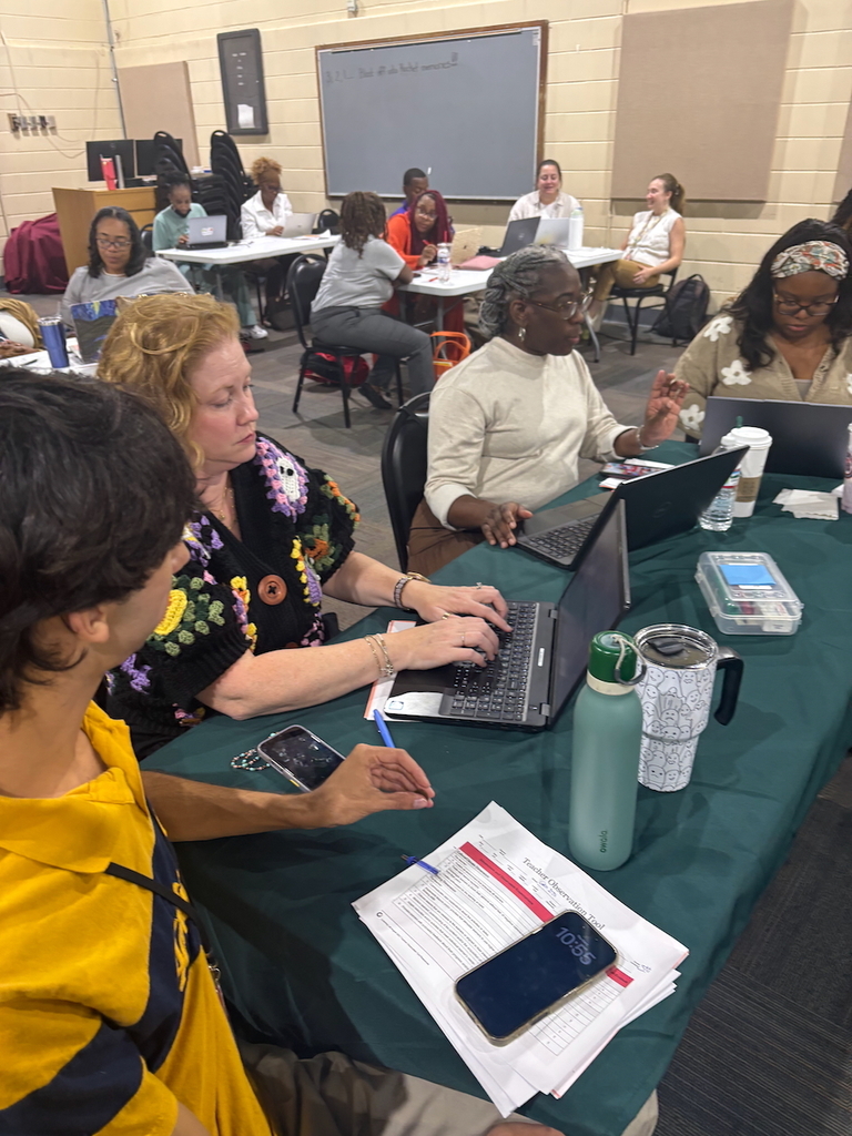 Mentor-Mentee Professional Development