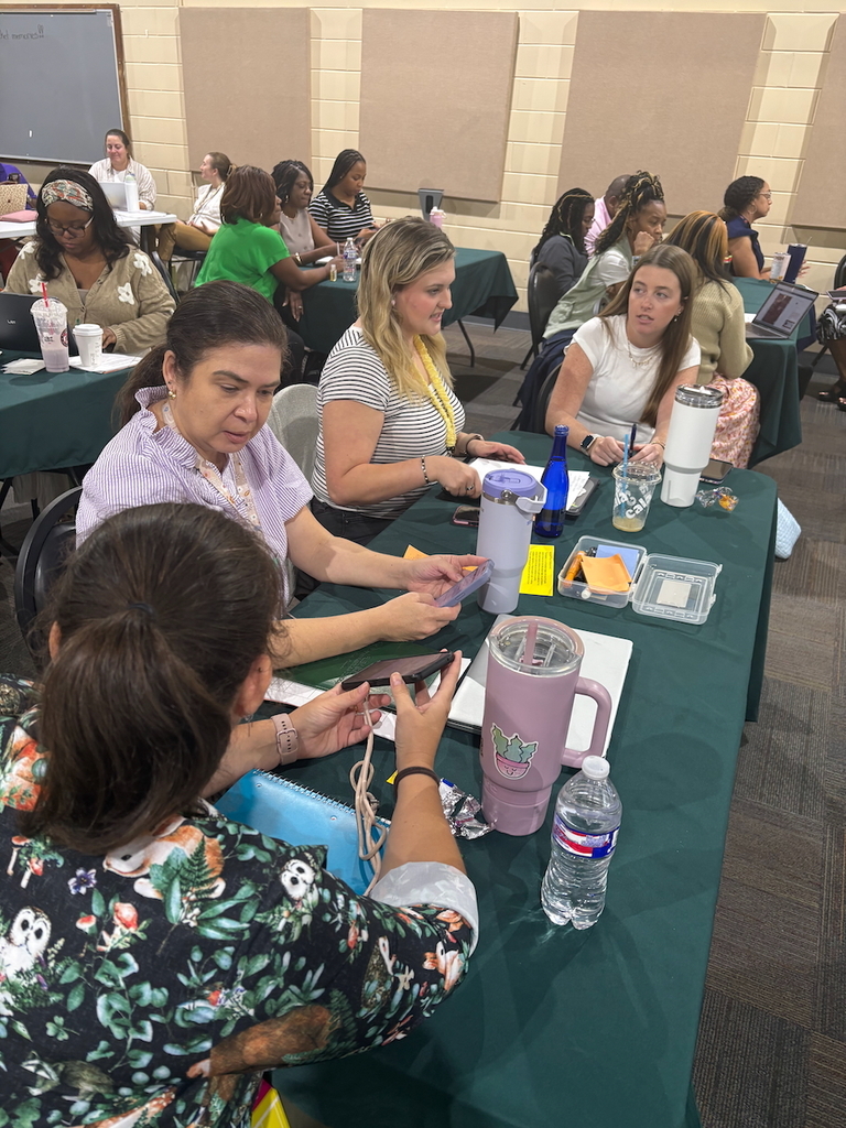 Mentor-Mentee Professional Development