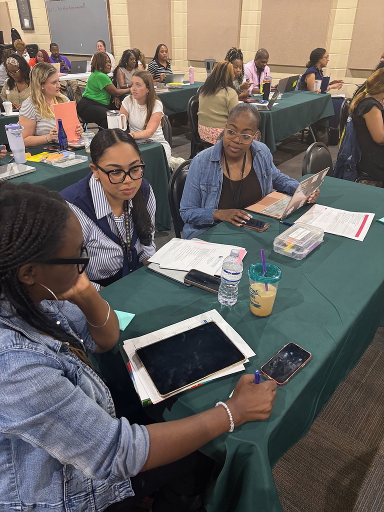 Mentor-Mentee Professional Development