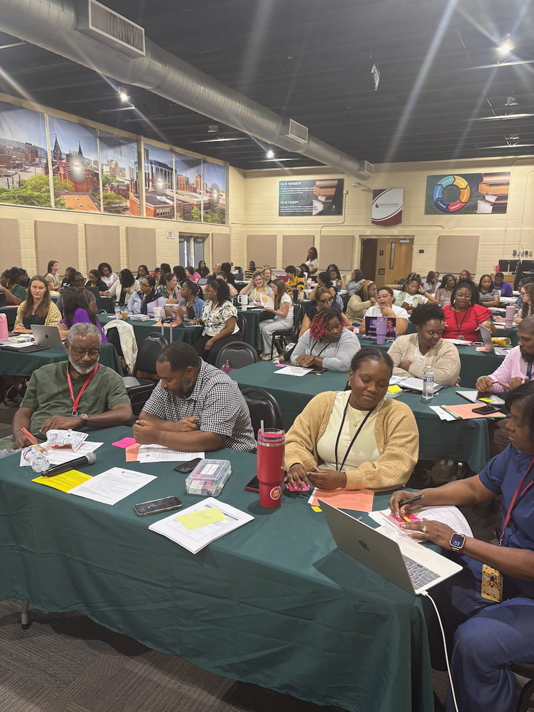 Mentor-Mentee Professional Development