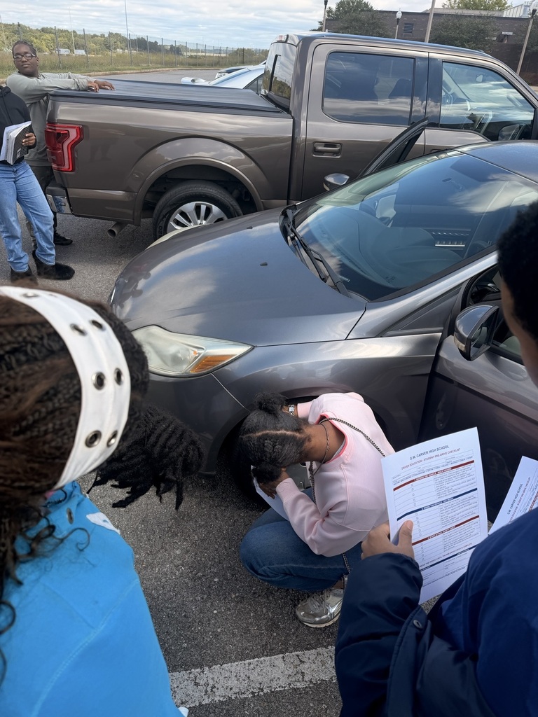 Car Inspections